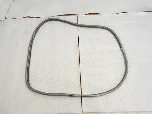 Hule Sello Puerta Delantera Piloto Bmw Serie 3 320i 2019-24