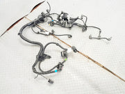 Arnes Cableado De Motor Bmw Serie 3 320i 2.0t Aut 2019-2024