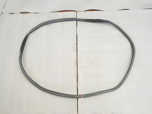 Hule Sello Puerta Delantera Copiloto Bmw Serie 3 320i 19-24
