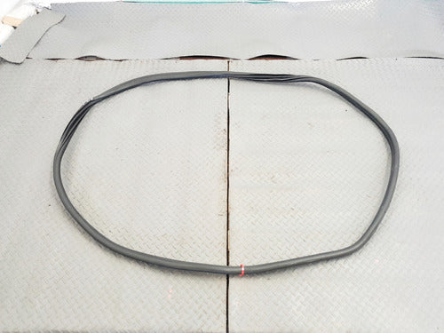 Hule Sello Puerta Delantera Copiloto Bmw Serie 3 320i 19-24